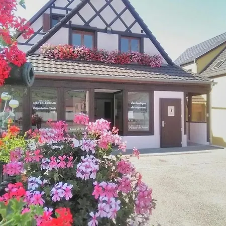 Alsace Appartements Meyer-Krumb Sigolsheim Esterno foto