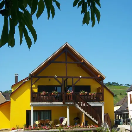 Alsace Appartements Meyer-Krumb Sigolsheim Esterno foto