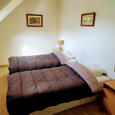Alsace Appartements Meyer-Krumb Sigolsheim Esterno foto