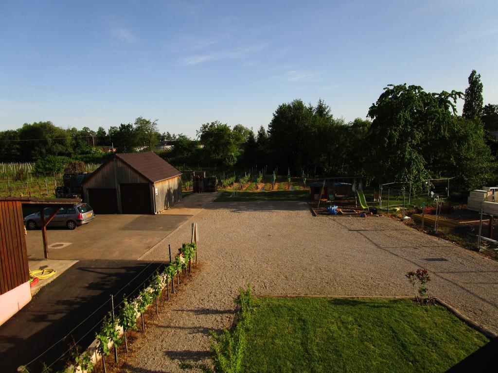 Appartamento Alsace Meyer-krumb Sigolsheim