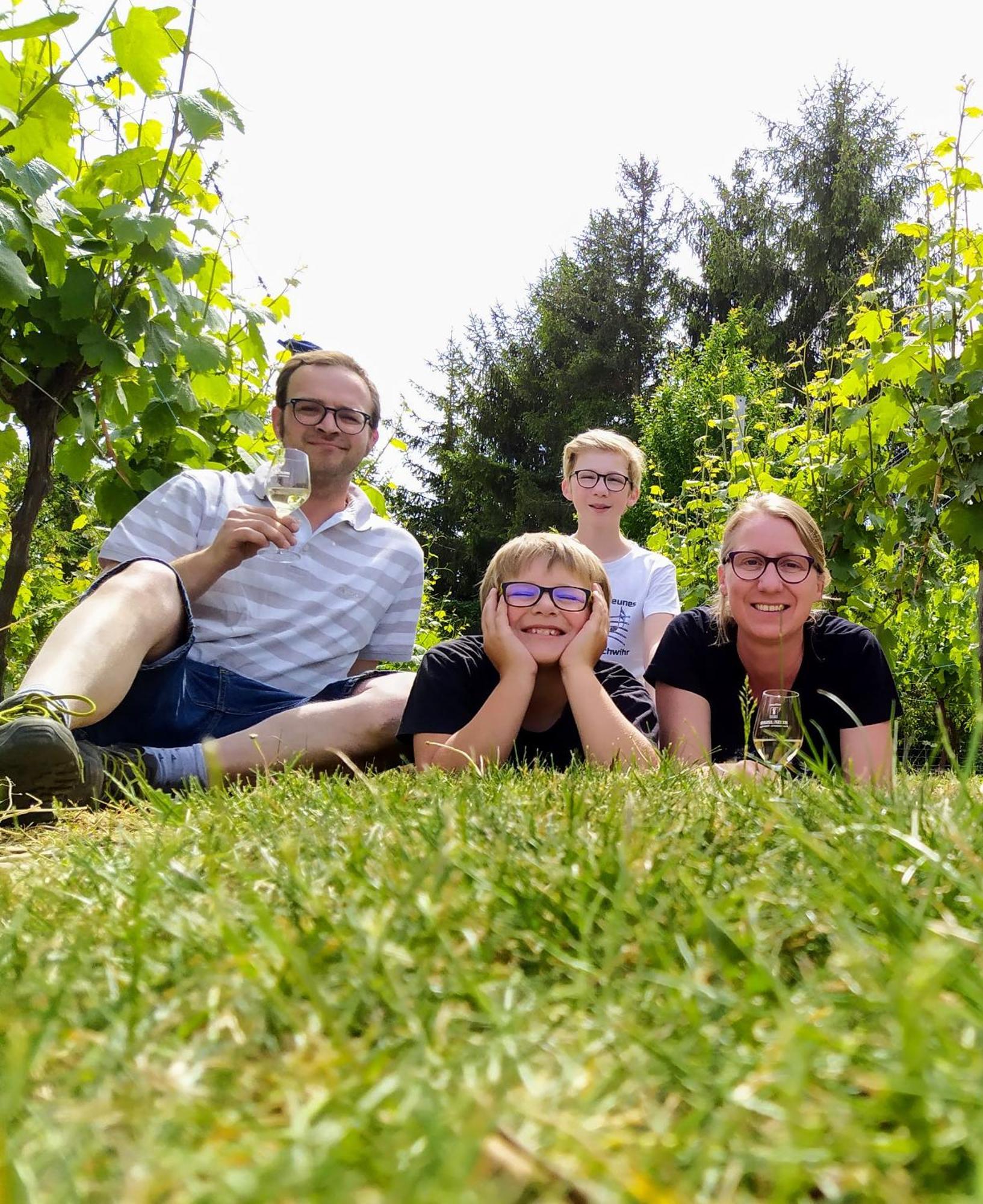 Alsace Meyer-krumb * Sigolsheim