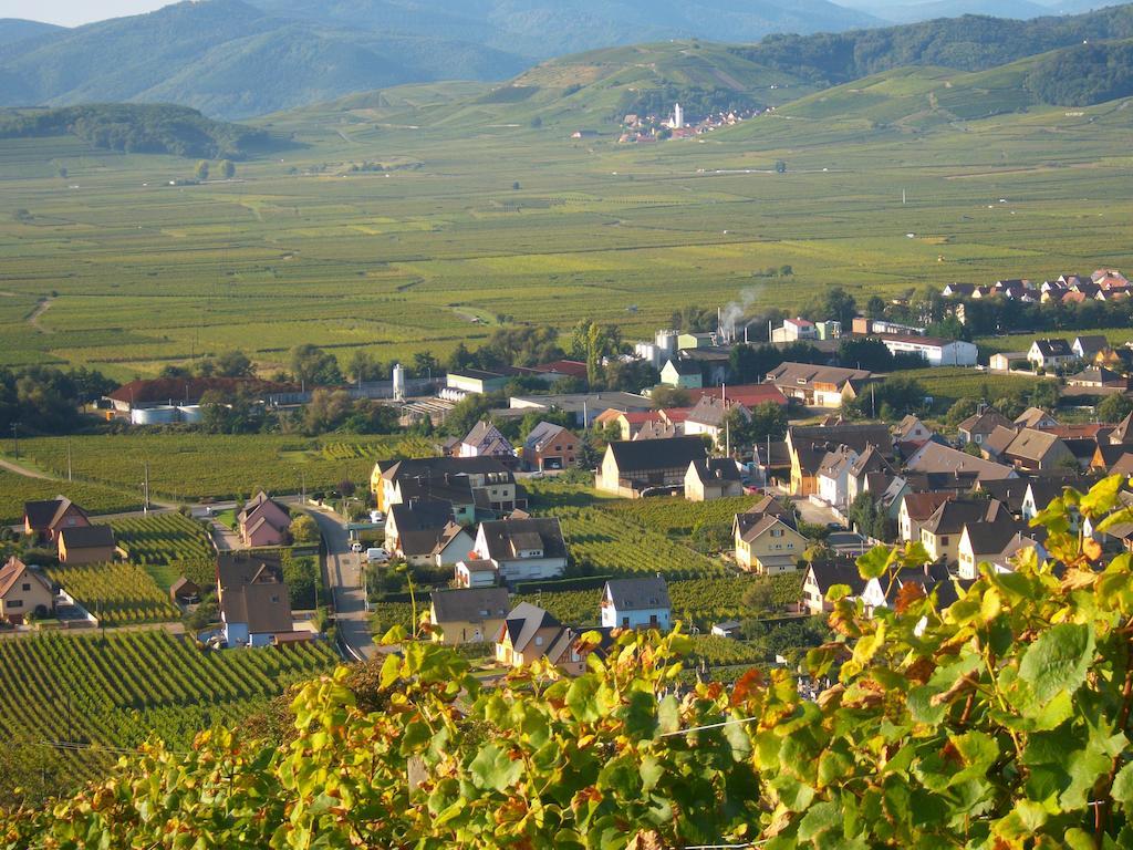 Apartment Alsace Meyer-krumb *