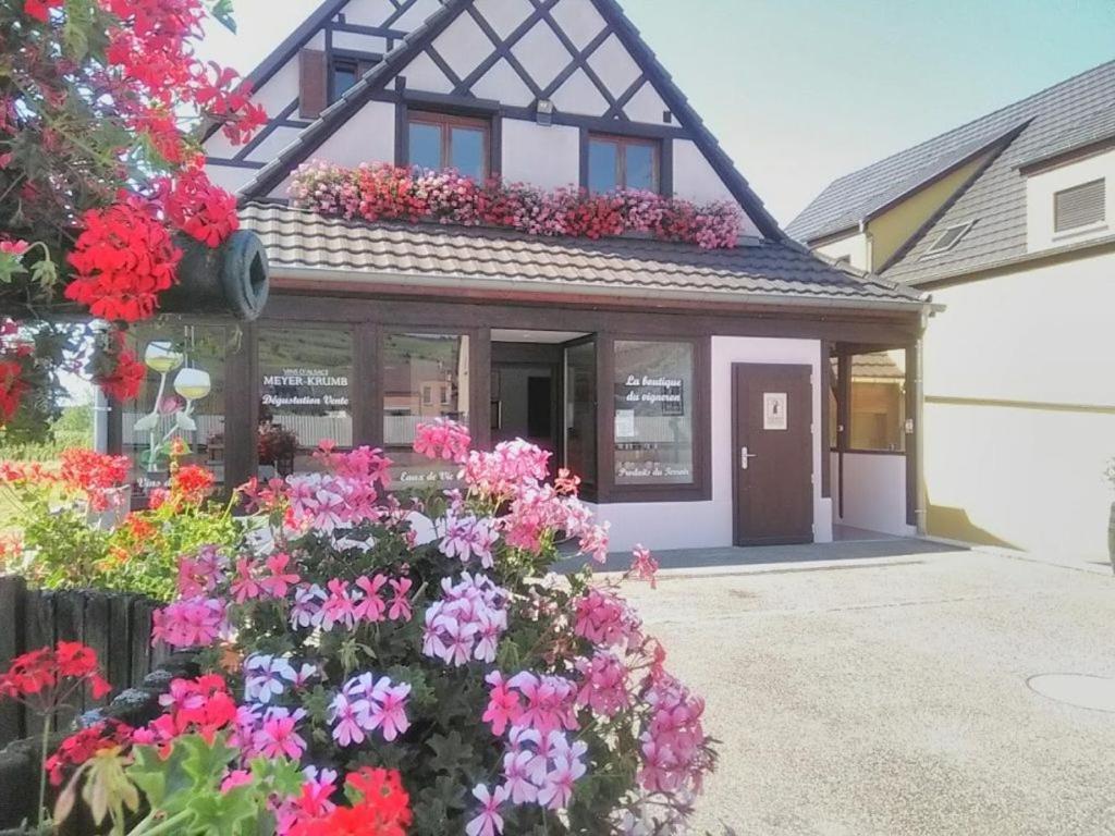 Alsace Meyer-krumb Apartment