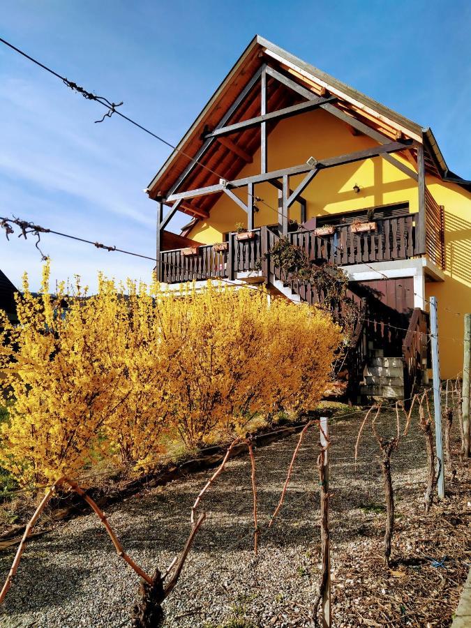 Apartment Alsace Meyer-krumb Sigolsheim